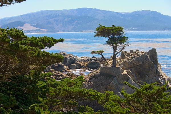 Lone Cypress Monterey