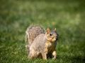 img 7822 o