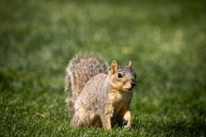 img 7822 o