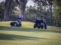 img 7956 o