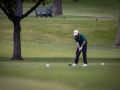 img 8138 o
